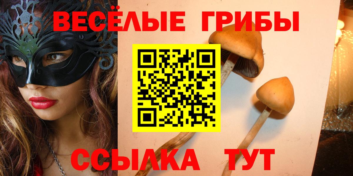 Галлюциногенные грибы Psilocybine cubensis Невинномысск