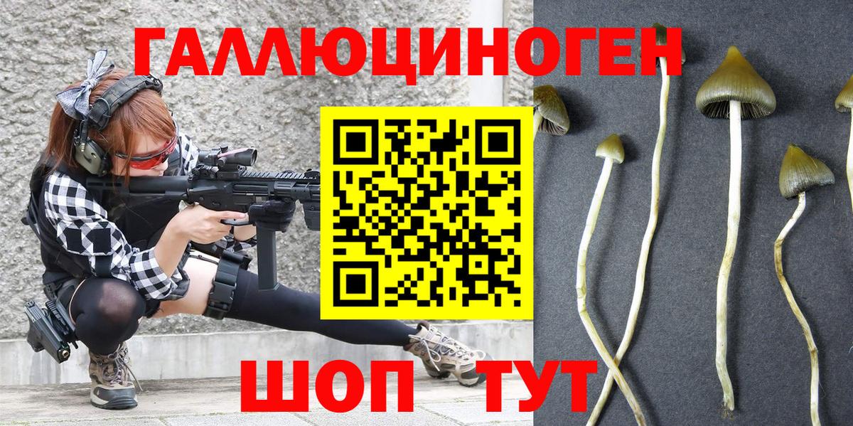 Невинномысск  Галлюциногенные грибы Cubensis  Вход с VPN 